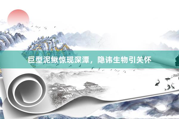 巨型泥鳅惊现深潭，隐讳生物引关怀